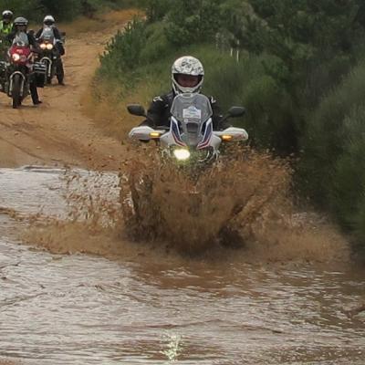 africa twin trophy