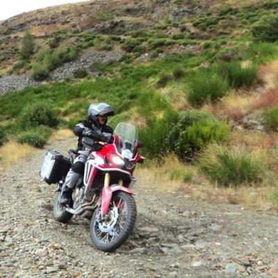 Africa Twin Trophy
